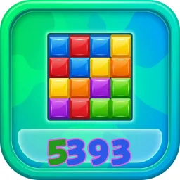 5393